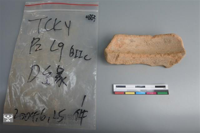 陶片藏品圖，第4張