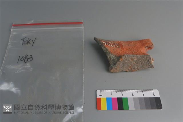 陶片藏品圖，第4張