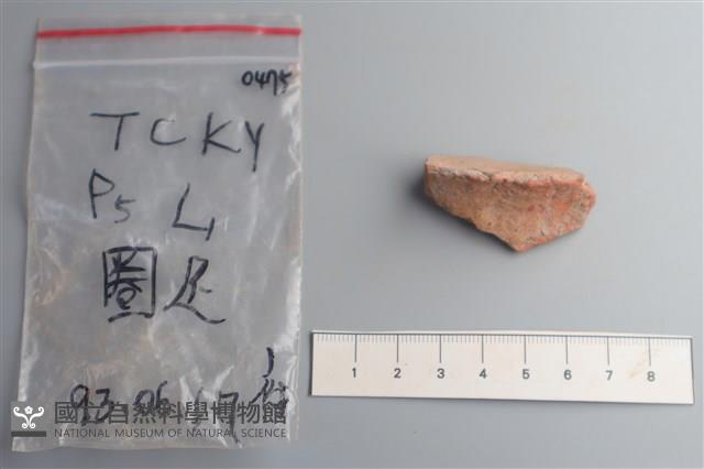 陶片藏品圖，第4張
