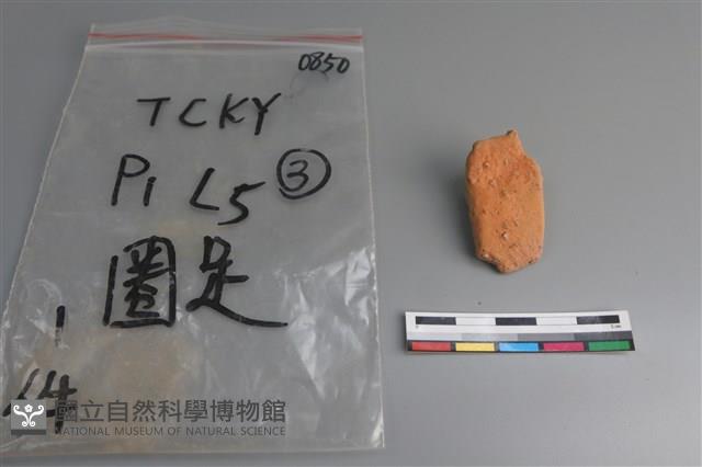 陶片藏品圖，第4張