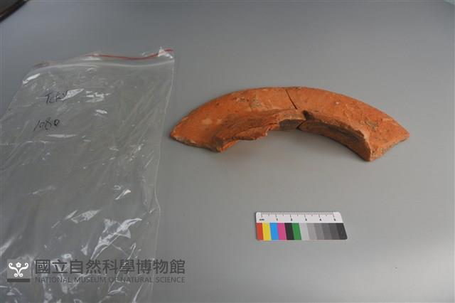 陶盆藏品圖，第4張