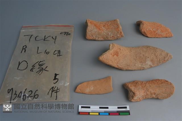 陶片藏品圖，第4張