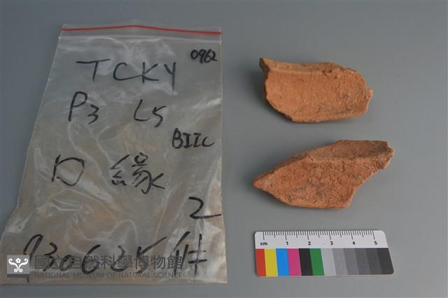 陶片藏品圖，第4張