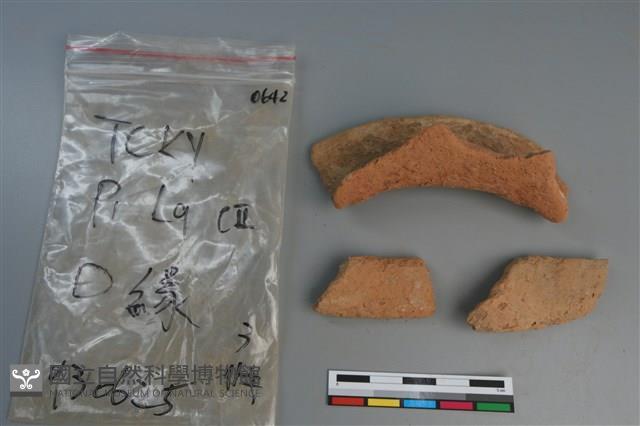 陶片藏品圖，第4張