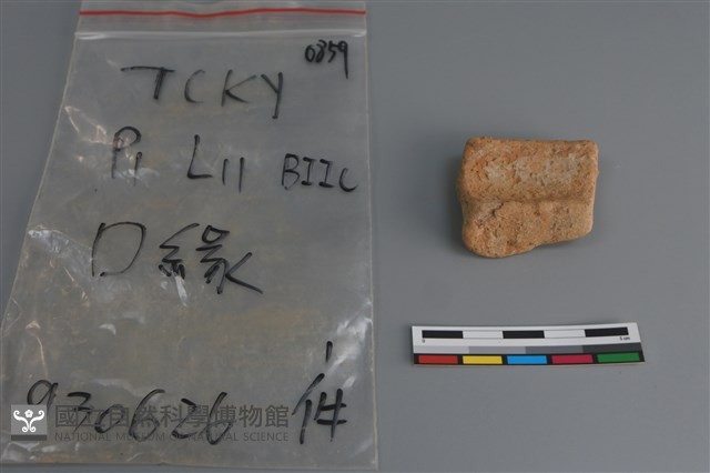 陶片藏品圖，第4張