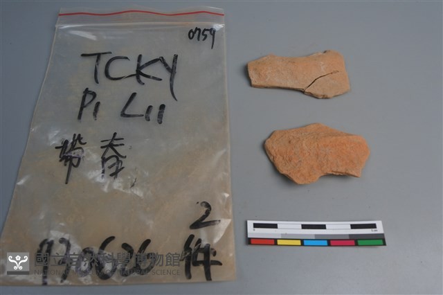 陶片藏品圖，第4張