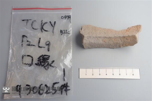 陶片藏品圖，第4張