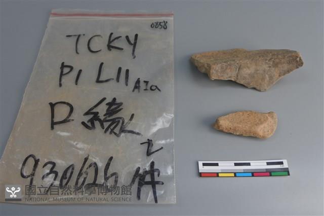 陶片藏品圖，第4張