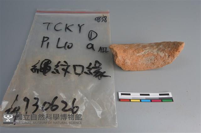 陶片藏品圖，第4張