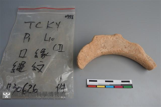 陶片藏品圖，第4張