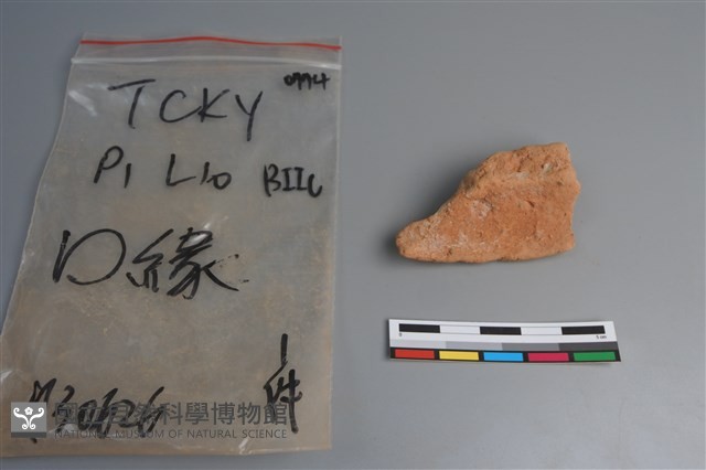 陶片藏品圖，第4張
