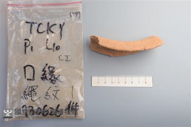 陶片藏品圖，第3張