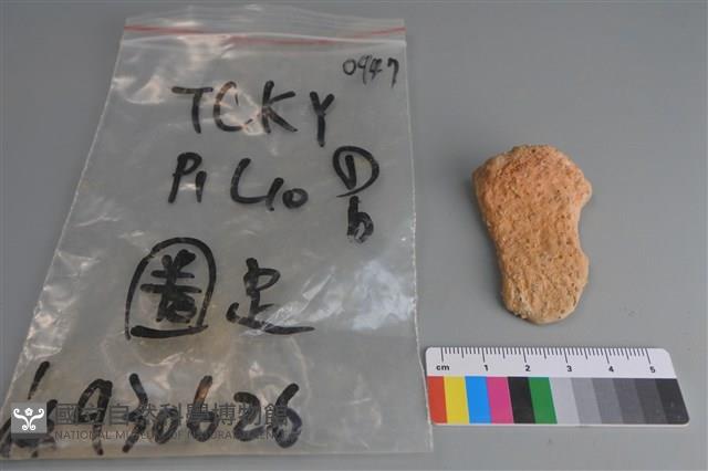 陶片藏品圖，第3張