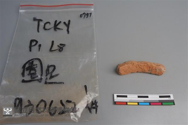 陶片藏品圖，第3張