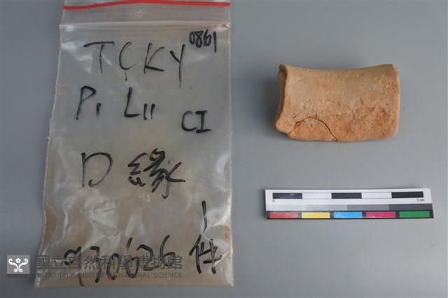 陶片藏品圖，第3張