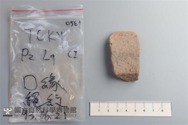 陶片藏品圖，第3張