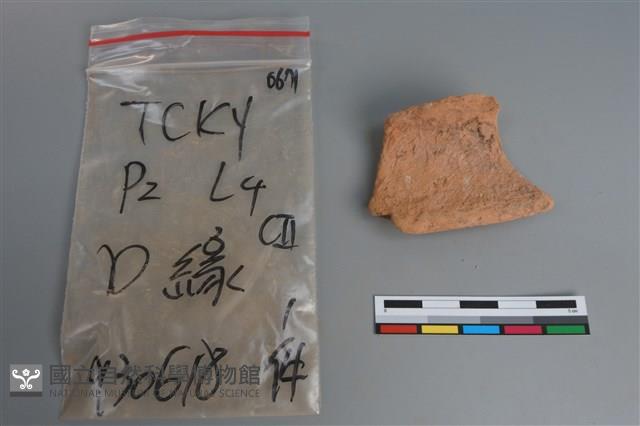 陶片藏品圖，第3張