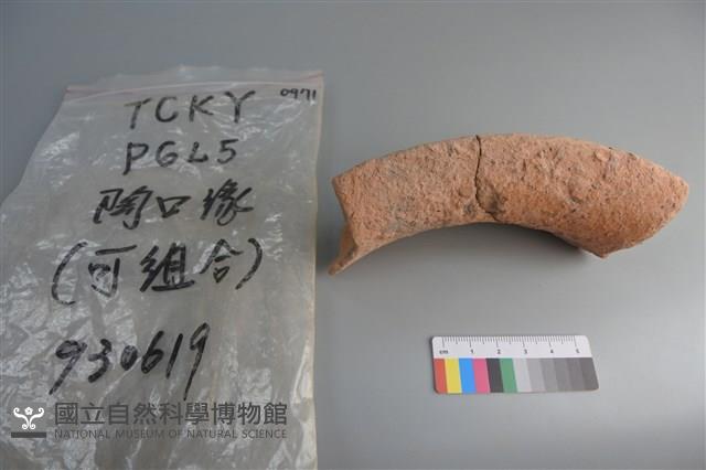 陶片藏品圖，第3張