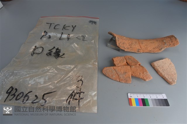 陶片藏品圖，第3張