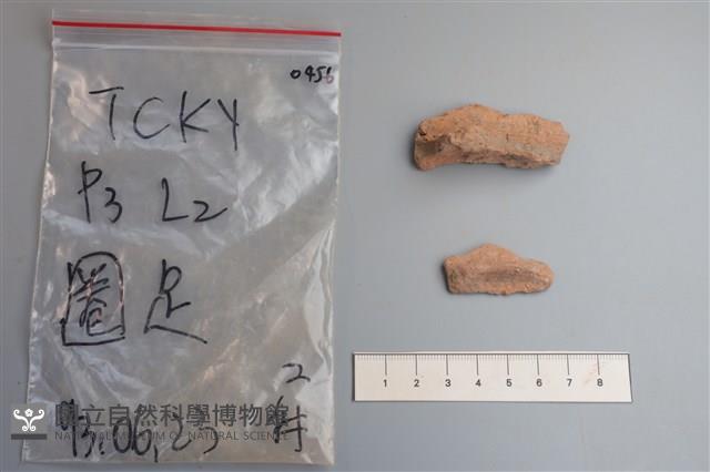陶片藏品圖，第3張
