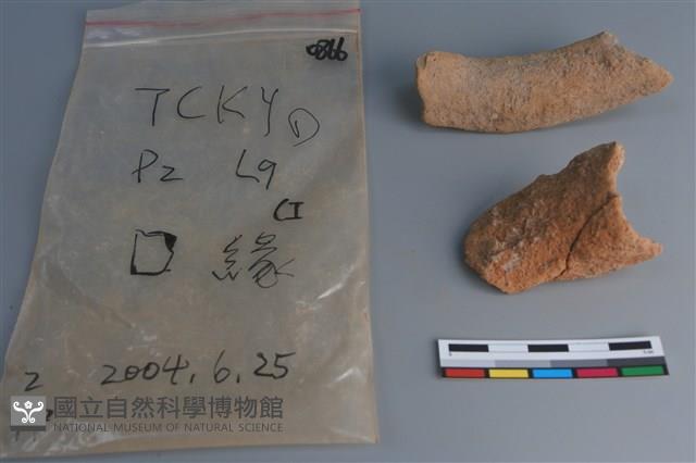 陶片藏品圖，第3張