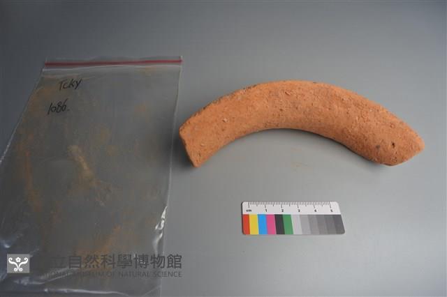 陶片藏品圖，第3張