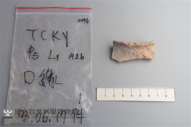陶片藏品圖，第3張
