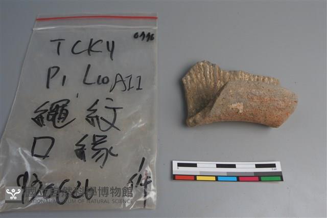 陶片藏品圖，第3張