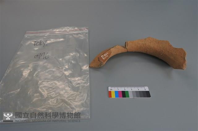 陶片藏品圖，第3張