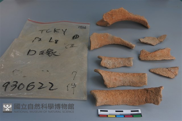 陶片藏品圖，第3張