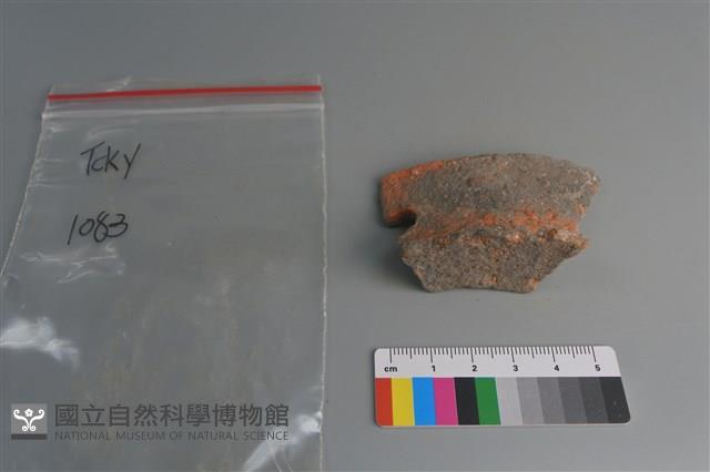 陶片藏品圖，第3張