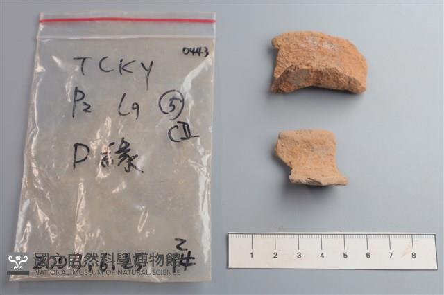 陶片藏品圖，第3張