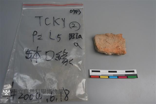 陶缽藏品圖，第3張