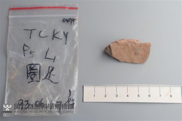 陶片藏品圖，第3張