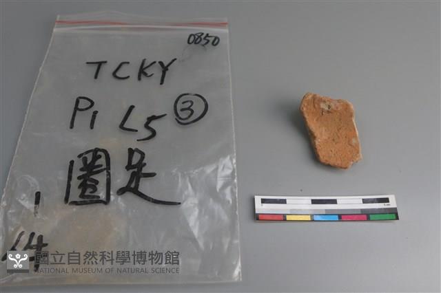 陶片藏品圖，第3張