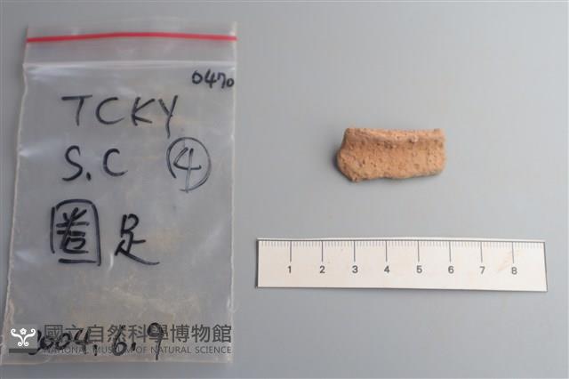 陶片藏品圖，第3張