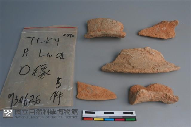 陶片藏品圖，第3張