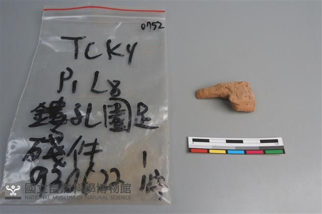 陶片藏品圖，第3張