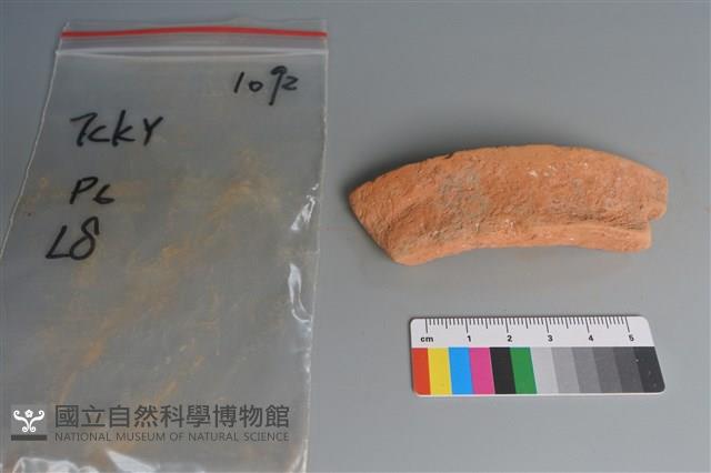 陶片藏品圖，第3張