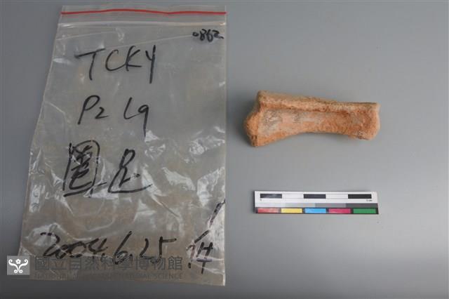 陶片藏品圖，第3張