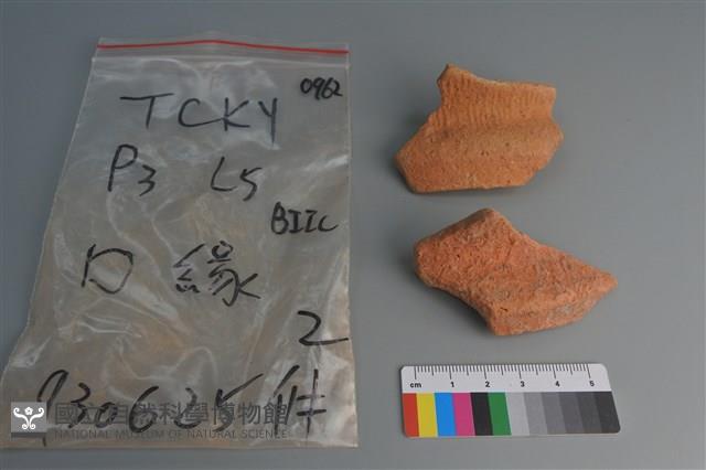 陶片藏品圖，第3張