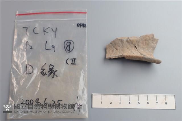 陶片藏品圖，第3張
