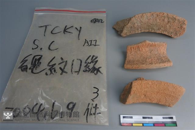 陶片藏品圖，第3張