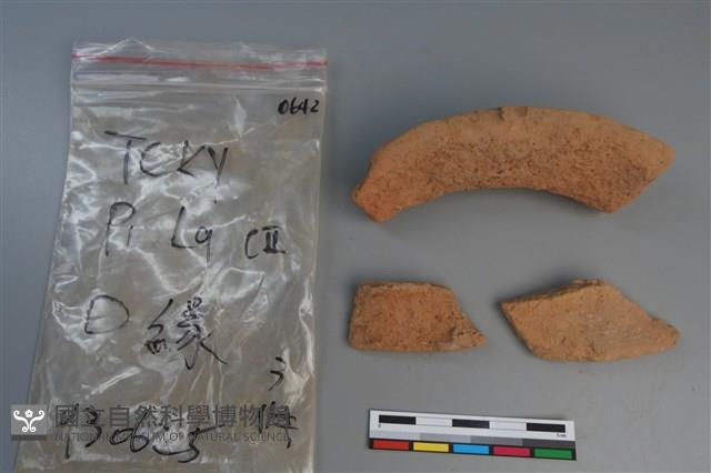 陶片藏品圖，第3張