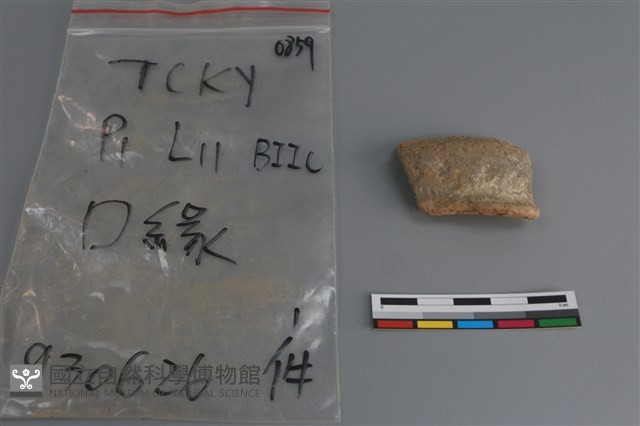 陶片藏品圖，第3張