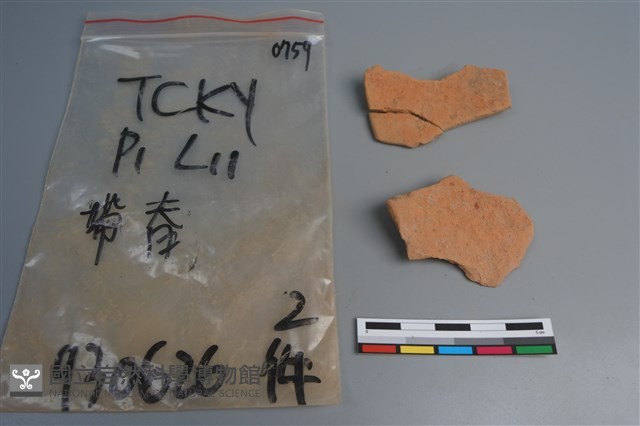 陶片藏品圖，第3張