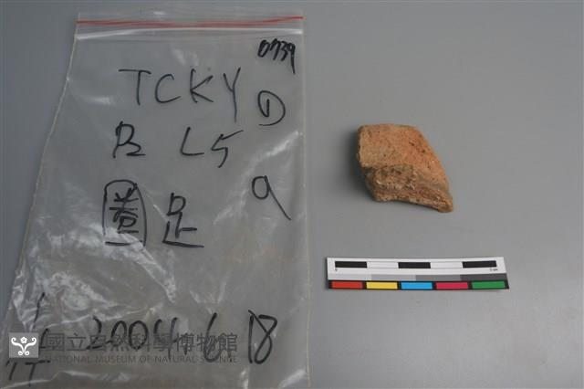 陶片藏品圖，第3張