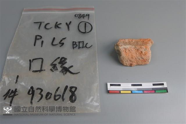 陶片藏品圖，第3張