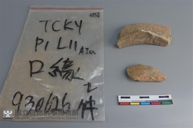 陶片藏品圖，第3張