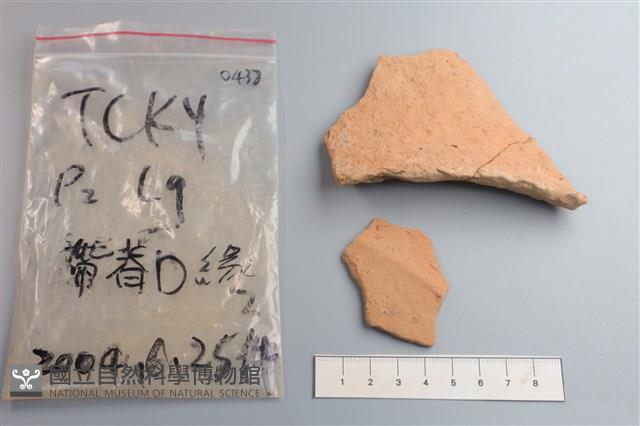 陶片藏品圖，第3張